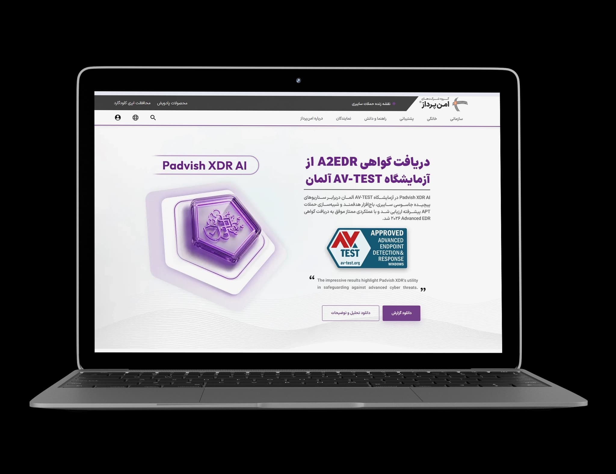 نمای وب‌سایت و راهکارهای امنیت سایبری پادویش